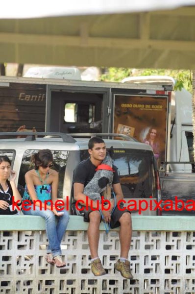 Clique sobre a foto para fechar